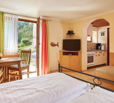 Gemütliches Appartement im Abenteuerhof in Schladming